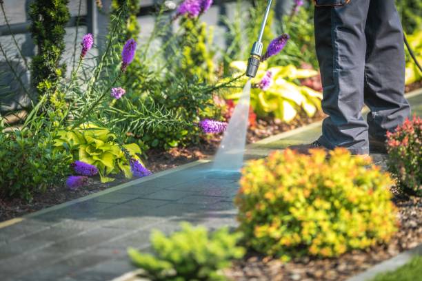 Best Warehouse Cleaning  in Vadnais Heights, MN